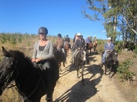 Horse Riding in Daylesford - Day Trip from Melbourne